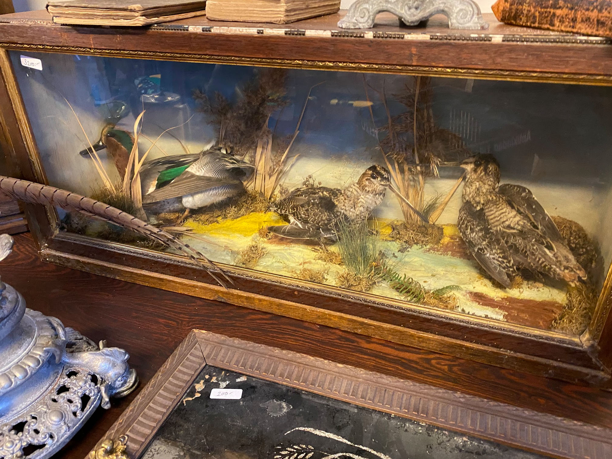 Foto på Carls iPhone